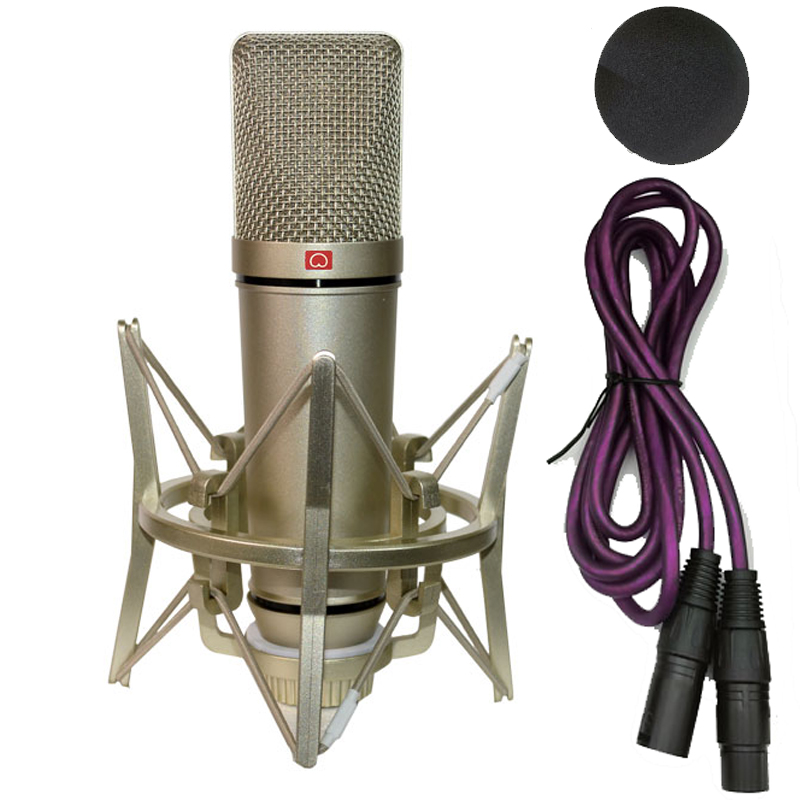 Microfono a condensatore profe - Shure Mic Sm58 recensione e prezzo